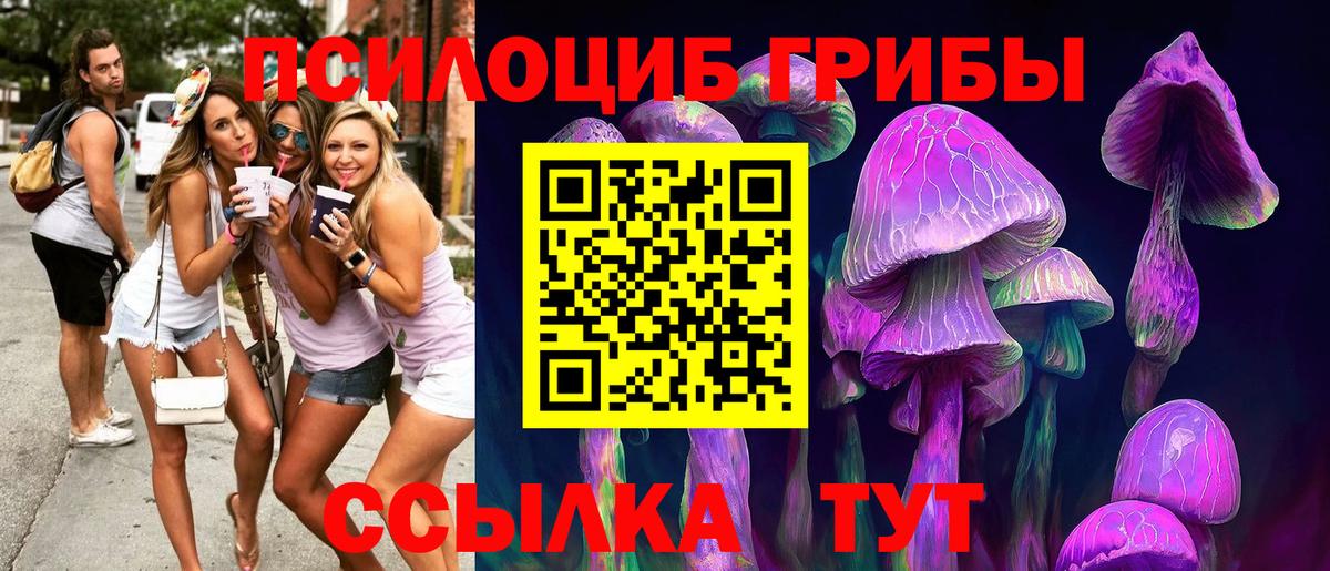 Шадринск  Галлюциногенные грибы MAGIC MUSHROOMS  Вход с VPN 